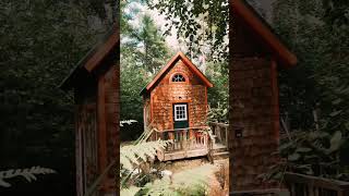 Peaceful tiny home in the woods of Maine #tinyhouse #tinyhome #cabininthewoods