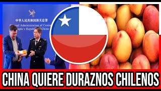 China YA QUIERE Duraznos Chilenos 🇨🇱 #Chile #Valparaiso #ViñaDelMar #BioBio #GranSantiago