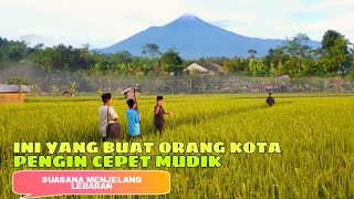 Kampung Para Petani Yang Indah Dan Makmur Jauh Dari Kebisingan