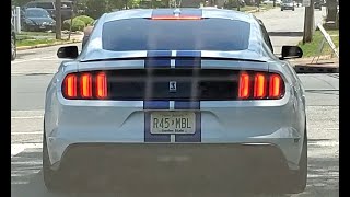 Ford Mustang Shelby GT350 Driving on Road - Awesome Exhaust Sounds