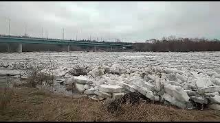 Ледоход на реке Сура. Ульяновская обл. п.Сурское 12.04.2021г.