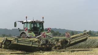 Claas Jaguar 960 mit Vorsatz  PICK UP 300 Meter Triticale Häckseln Martin Tauschmann von der IKT Bio