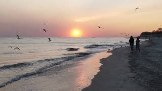 Strong Waves During Sunset (@NaturalCures)