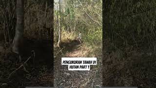 Jalan-jalan Dihutan part 1 #shortsfeed #viralshorts #trending #shorts #hororterbaru2023