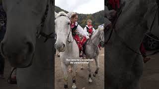 Beautiful horse riders Poland wearing mountain clothes #shorts #poland #beautiful #animals