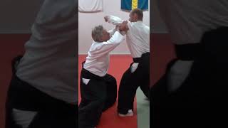 Aikido technique TENCHINAGE against grab and strike attacks, by Stefan Stenudd