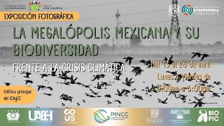 Exposición: La megalópolis mexicana y su biodiversidad frente a la crisis climática 🌦️