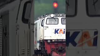 #train KA Sembrani ngebut melintas langsung di stasiun tarik #railway