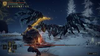 [Elden Ring] Death Rite Bird (Mountaintops of the Giants) boss fight | No Hit Run | 2024