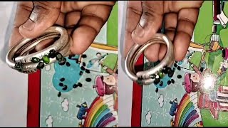 Pacha Guruvinda ginjalu silver test || Call me Sadab 8459487861