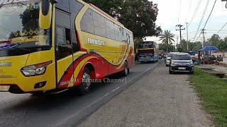 aksi Bus paimaham no 388 di  jalan baru rantau Prapat dengan bus pariswisata menuju bengkulu