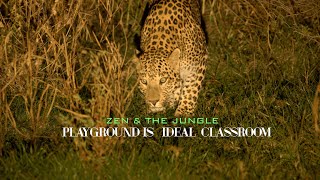 #zen & the #jungle #Leopards #play & #learn #playground is ideal #classroom #nature #wildlife #india