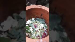 Tieedi Home Composting Unit Customer Feedback