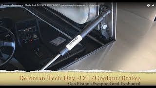 Delorean Maintenance - Fluids flush OIL/COOLANT/BRAKES - Plus Gas Piston Swap and Comparison