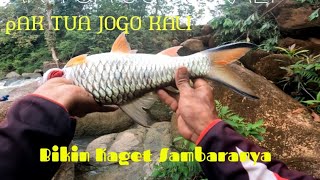 Sambaran Ikan Hampala Bikan  Kaget