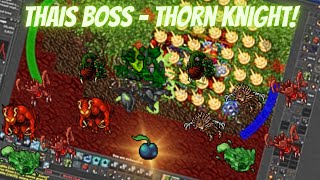 Siedzę Na Koniu czyli Tibia Thais Boss - Thorn Knight! (Poradnik/Guide)