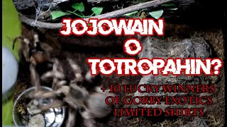 Jojowain O Totropahin? #GEV56 + 10 Lucky Winners of Gorby Exotics Limited Shirts