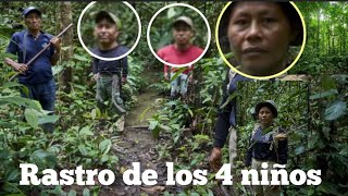 Colombia busqueda nuevos rastros de niño perdidos en la selva piensan que siguen con vida