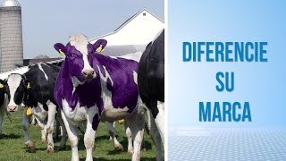 Diferencie su marca: Sea una vaca púrpura