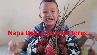 Lucunya Anak Kecil Belajar Ngevlog Review Buah Rambutan