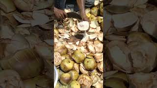 Amazing Palm Fruits Cutting | streetfood India #shorts #palmfruits