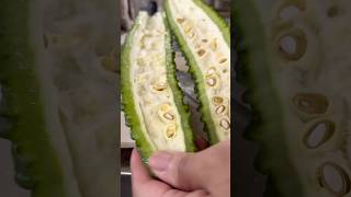 How to remove bitter gourd seeds【ゴーヤの種の取り方】#ゴーヤ #bittergourd#shorts