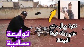 نتوة ديال دكر عزي وحلات فيها البيضة وكانت غدي تم*وت😭 لولا لطف الله +توليعة فالحمام بعد أمطار الخير💦