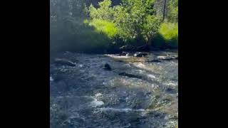 Holland meditates in the mountains /Голанд медитує в горах