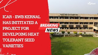 ICAR - IIWB Kernal has inititated a project for develpoing heat tolerant seed varieties