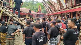 Menaikkan Saridan Keatas Lakkian. Ritual adat rambu solo'  Almh, nenek Ganti Palawa.