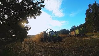 Mais hächseln mit Claas , Deutz-Fahr , Cat und HW80