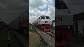 KERETA API PANDALUNGAN #kai #keretaapi #keretaapiindonesia #sepur #keretaapipandalungan #argowilis