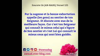 Sourate 16 (AN-NAHL) Verset 125