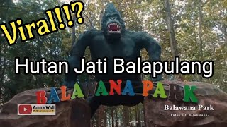 Viral!!? Balawana Park | Hutan Jati Balapulang kabupaten Tegal