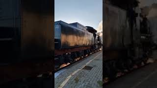 PARTENZA FUMOSA PER UN TRENO STORICO DA ROMAGNANO SESIA !!VIDEO COMPLETO