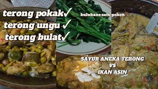 SAYUR TERONG CAMPUR IKAN ASIN, SEGALA JENIS TERONG MASUK WAJAN