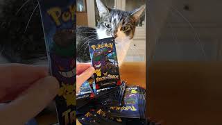 Opening #Halloween Pokémon cards with cats