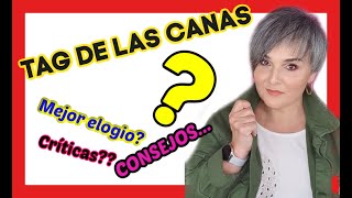 EL TAG DE LAS CANAS (Colaboración con Katya Campos) PREGUNTAS Y RESPUESTAS:MI TRANSICIÓN A LAS CANAS