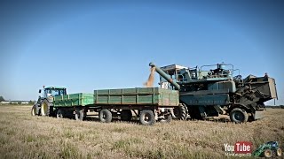 Harvest in Lithuania 2014 / Kūlimas 2014