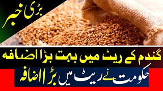 Wheat rate today|Gandam rate today 2023,گندم کے ریٹ میں بہت بڑا اضافہ