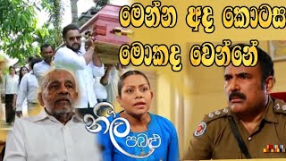 Neela Pabalu - අද කොටස