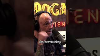 Quantum Entangled Photons = Yin & Yang | Joe Rogan and Sebastian Junger on JRE