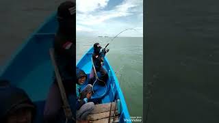 Reel Fuguro hirosi 4000 "triple strike "Mancing tongkol cilacap bersama Bala Dogong