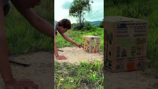 survival - Unique Bird Trap create using  Box #shorts