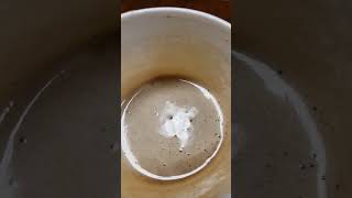 Hot cappuccino in a foam cup