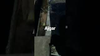 ajgar #shortsviral