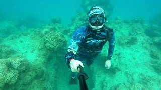 Coral Reef Freediving at Playa Pesquero, 2018