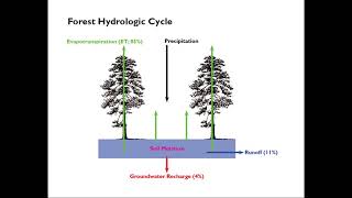 The interacting effects of climate, fire, and management on semi-arid forested watersheds