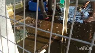 cleaning of cooling tower