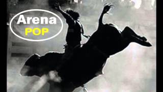 arena pop   conteudo radio e programetes